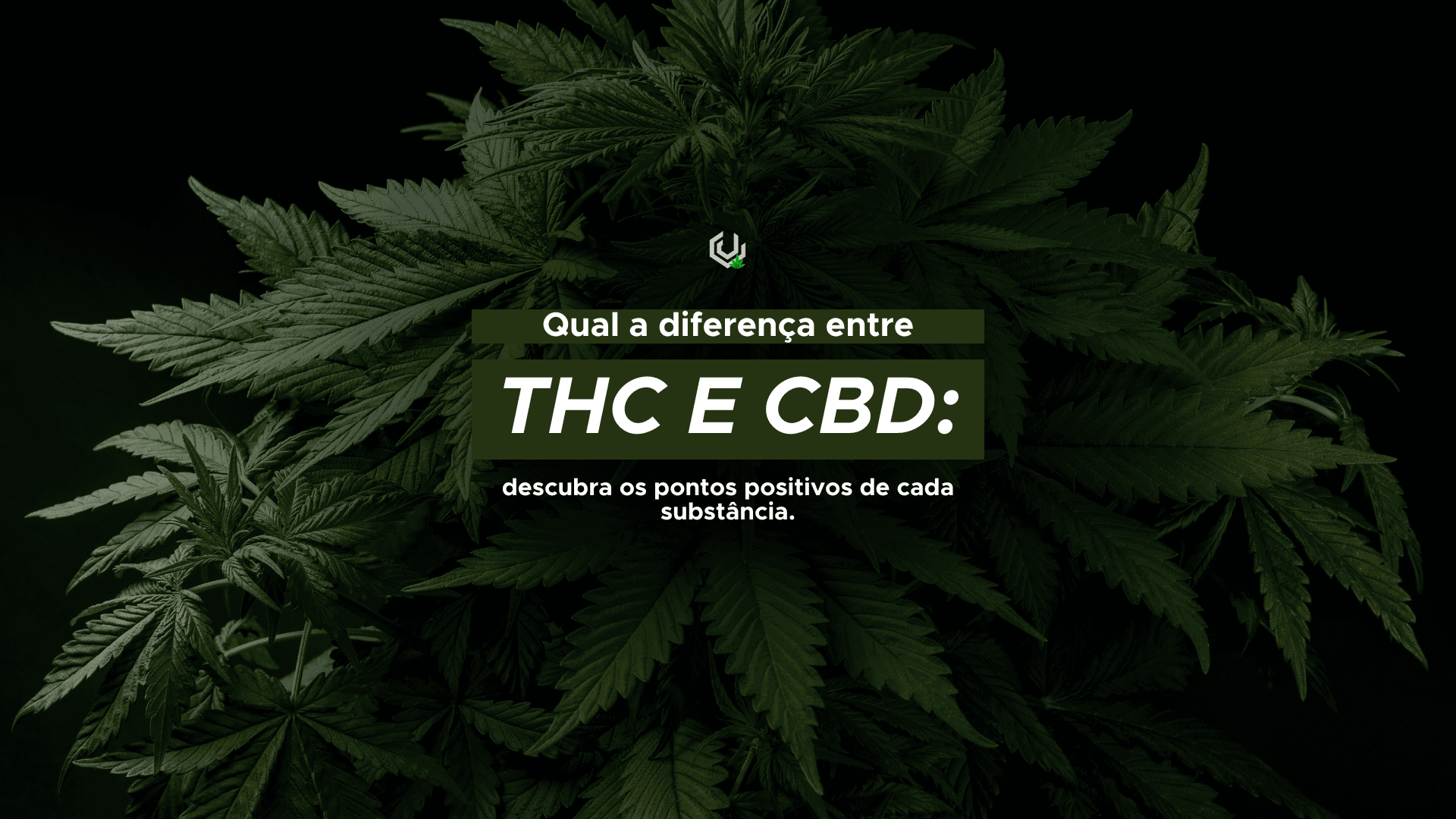 diferença entre THC e CBD