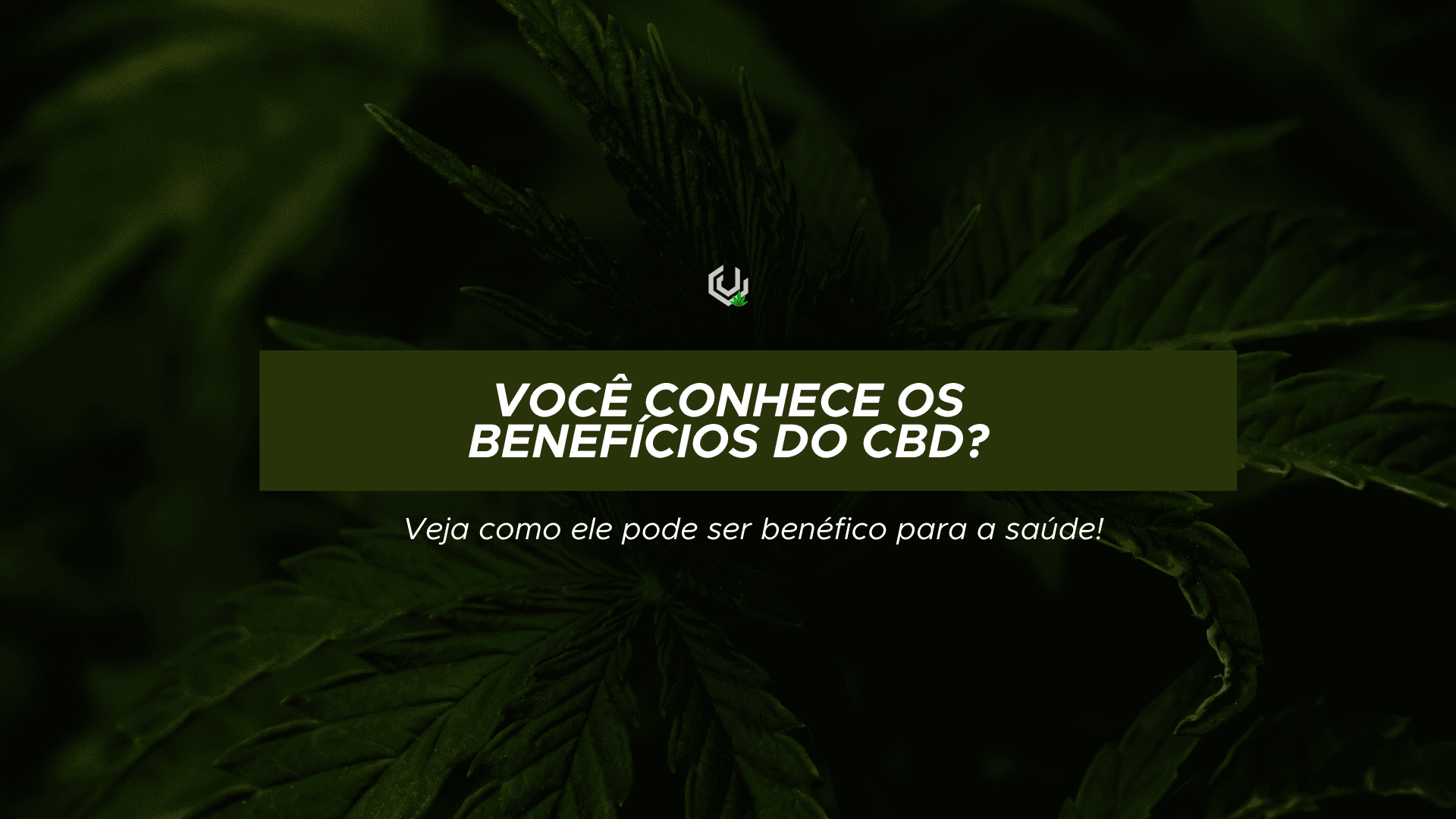 Benefícios do CBD